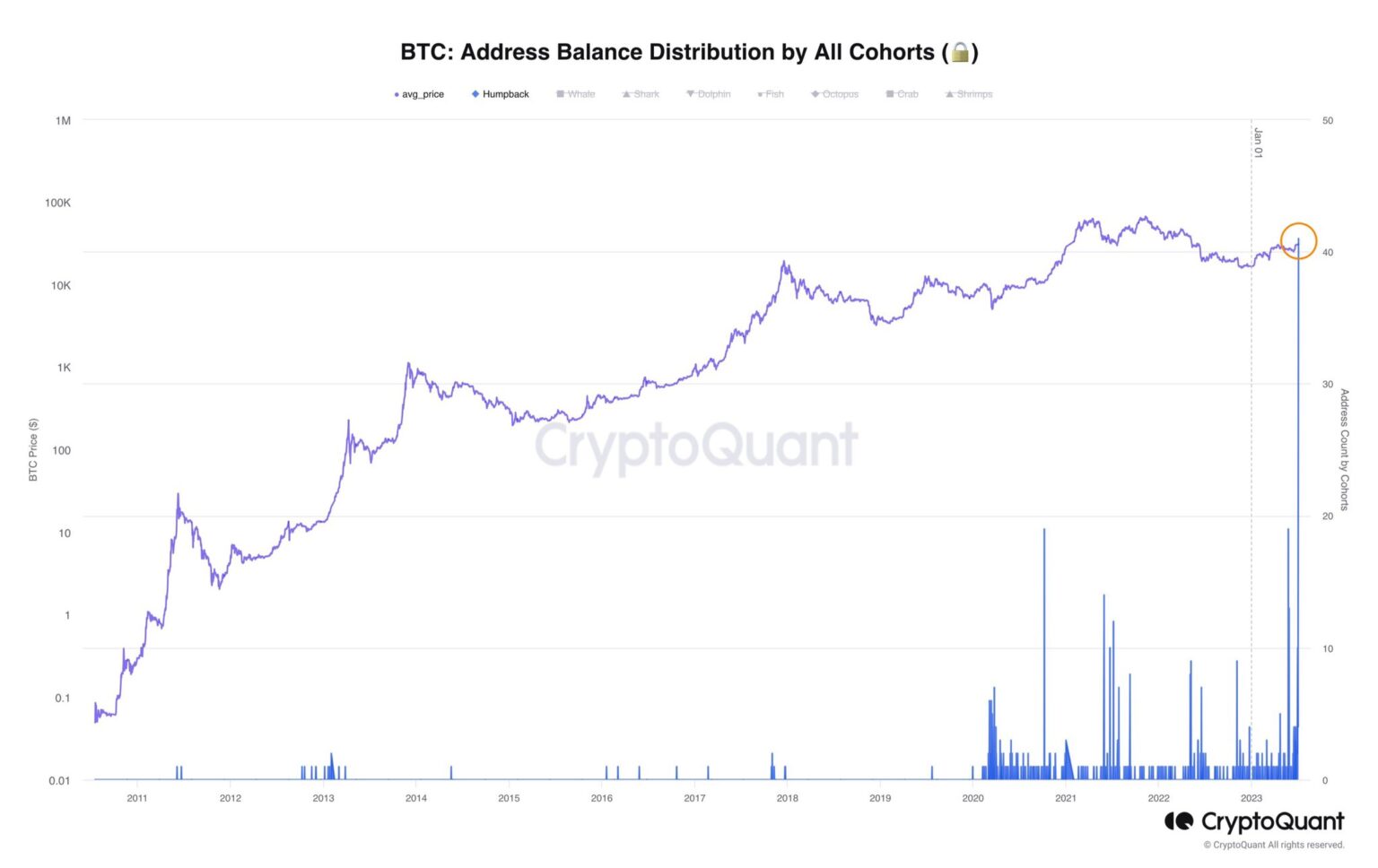 Bitcoin Humpback Wallets Reach ATH, Is BlackRock Behind The Surge?